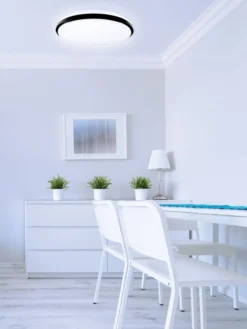 LED Wand und Deckenleuchten Taro+ 40 RGB