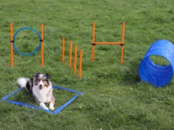 Lemodo Agility Set für kleine und mittelgroße Hunde