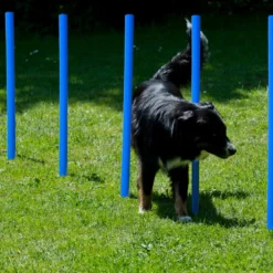 Lemodo Hundetrainingsset, 12 Stk. Slalomstangen