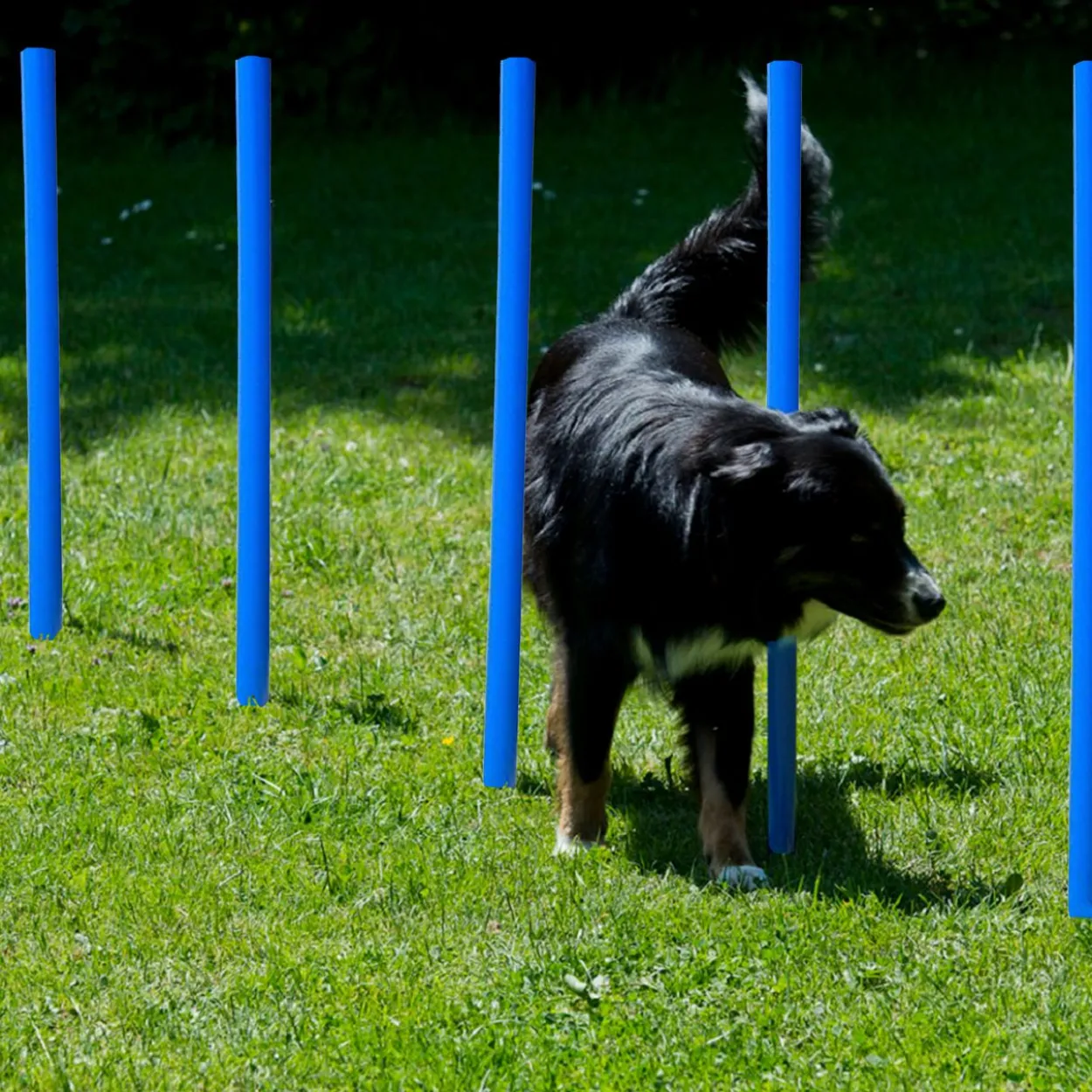 Lemodo Hundetrainingsset, 12 Stk. Slalomstangen