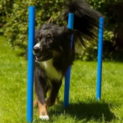 Lemodo Hundetrainingsset, 12 Stk. Slalomstangen