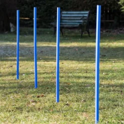 Lemodo Hundetrainingsset, 12 Stk. Slalomstangen
