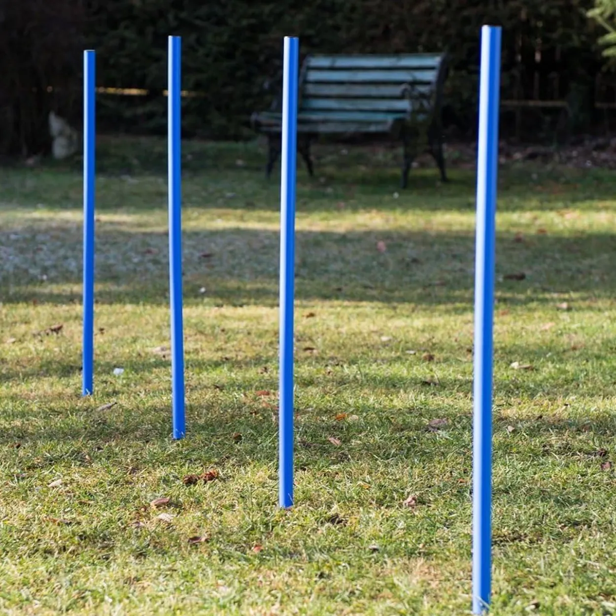 Lemodo Hundetrainingsset, 12 Stk. Slalomstangen