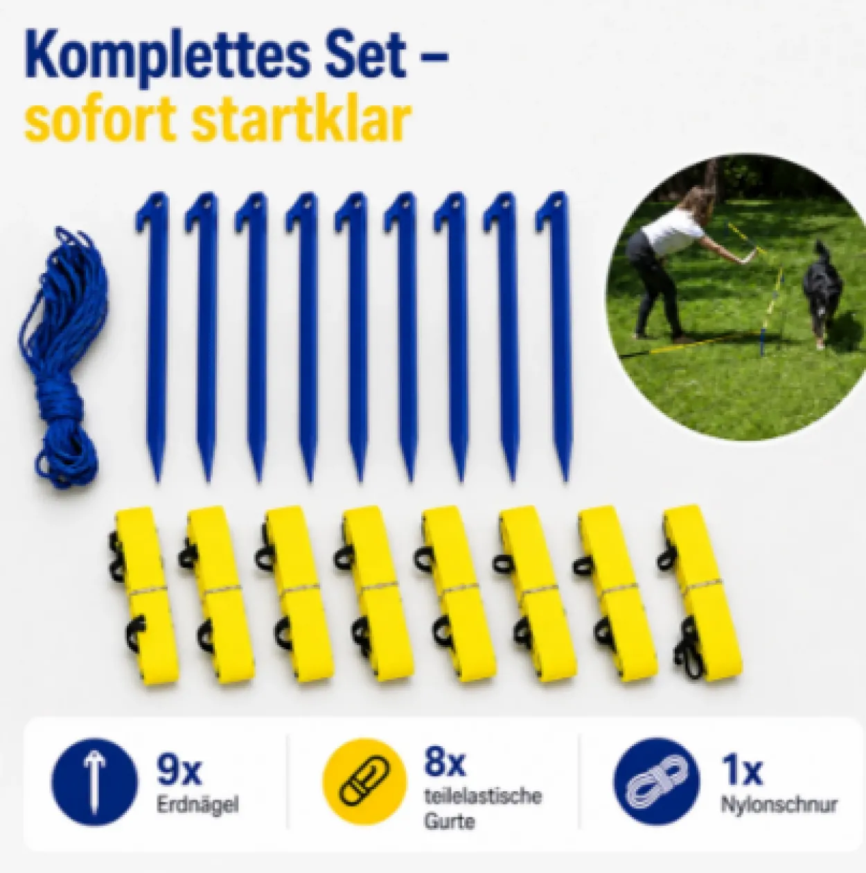Lemodo Longier-Set für Hunde, Radius 3-3,5m