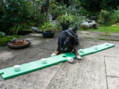 Lemodo Schnüffelspaß für Hunde, grün