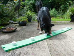 Lemodo Schnüffelspaß für Hunde, grün