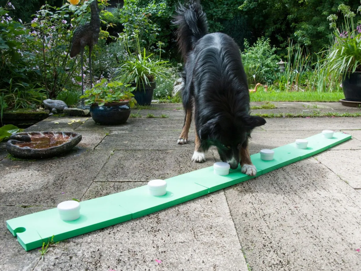 Lemodo Schnüffelspaß für Hunde, grün