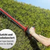 Li-Ion- Akku- Heckenschere 20 V
