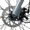 LLobe City E-Bike 26" Town Compact grau