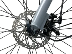 LLobe City E-Bike 26" Town Compact grau