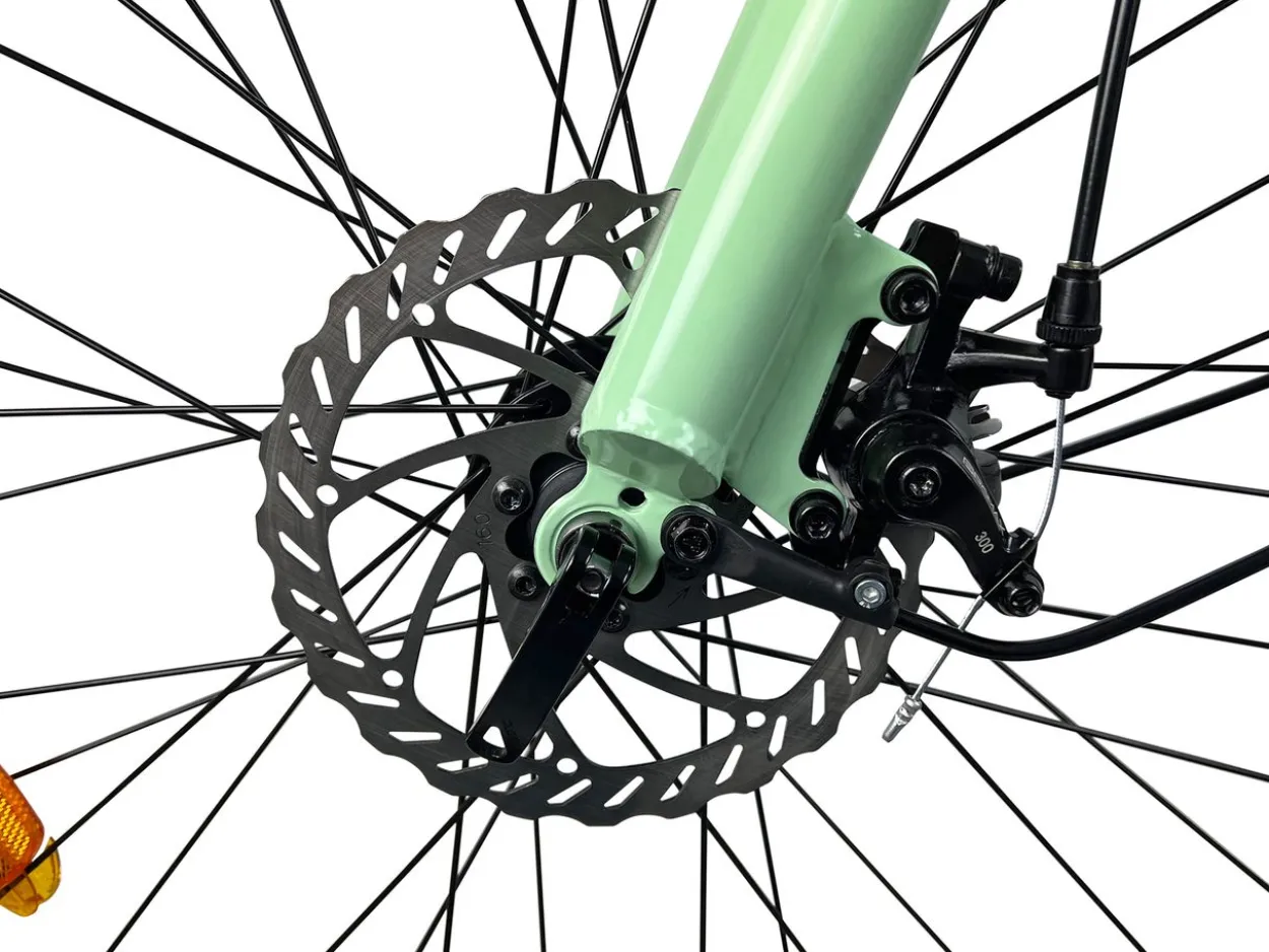 LLobe City E-Bike 26" Town Compact grün