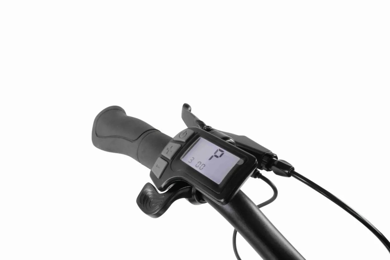 LLobe 14" E-Bike Compact