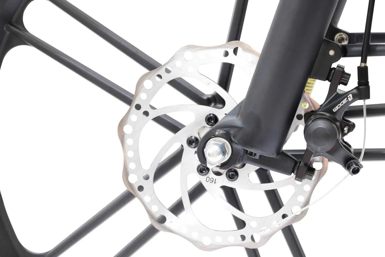 LLobe Falt E-Bike 20" EasyStar Gala
