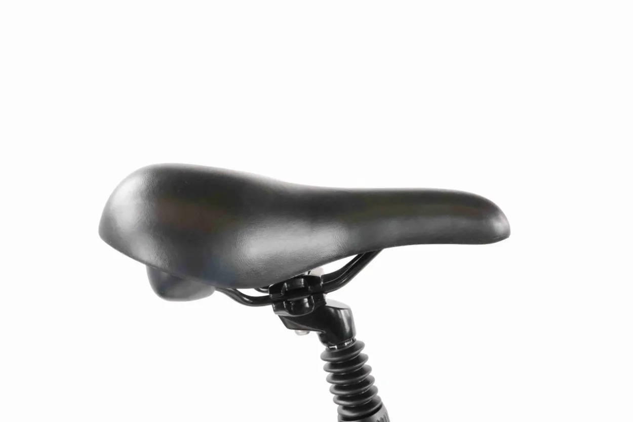 LLobe 20" Falt E-Bike Plexa