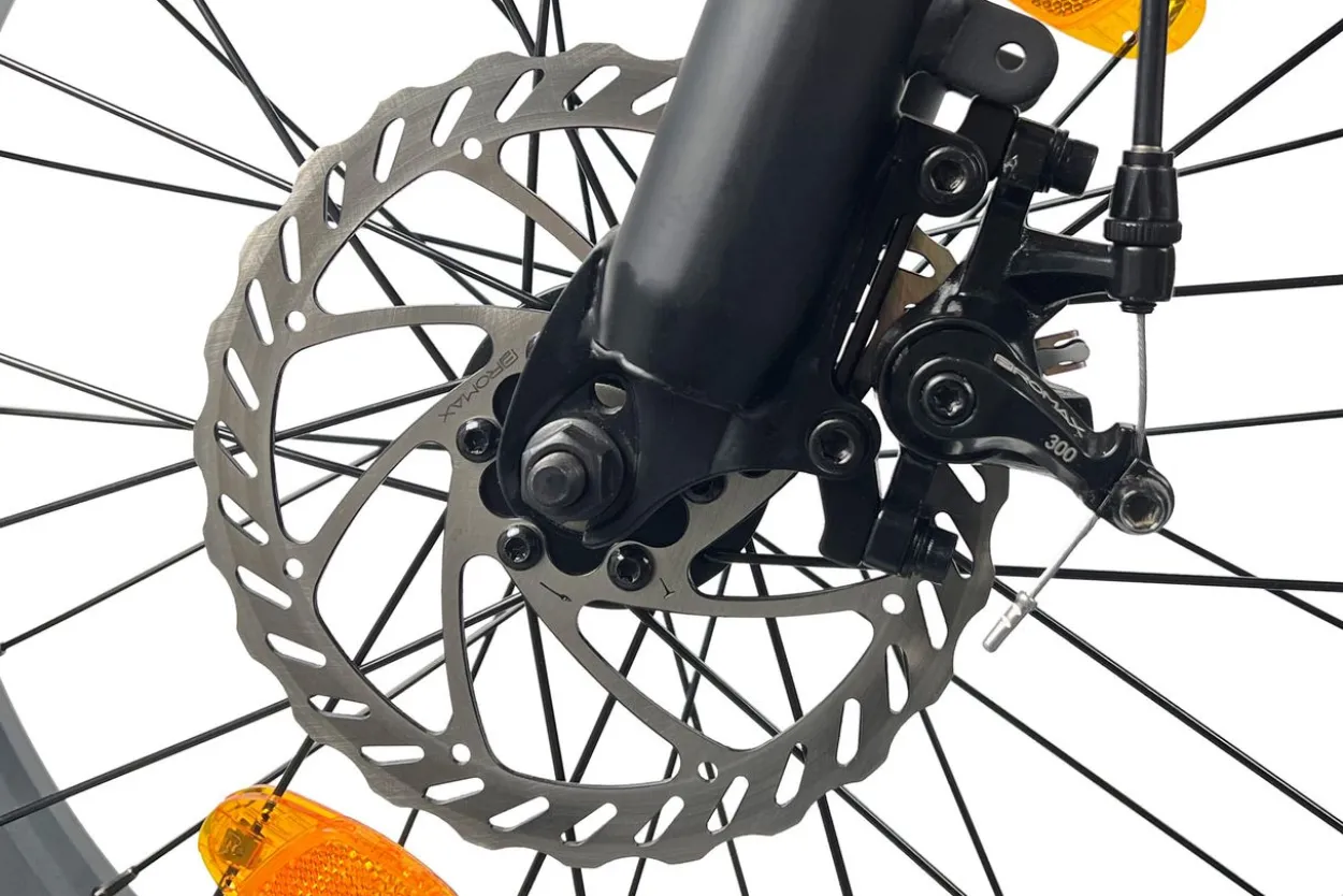 LLobe 20" Falt Fat E-Bike Terrain rot