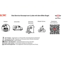 LLobe 20