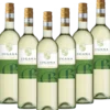 Lugana DOC Bertoldi Italien trocken - 6er Karton