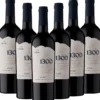 Malbec Andeluna 1300 - 6er Karton