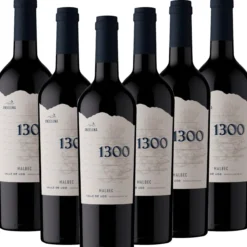 Malbec Andeluna 1300 - 6er Karton
