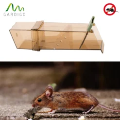 Maus-Lebend-Falle
