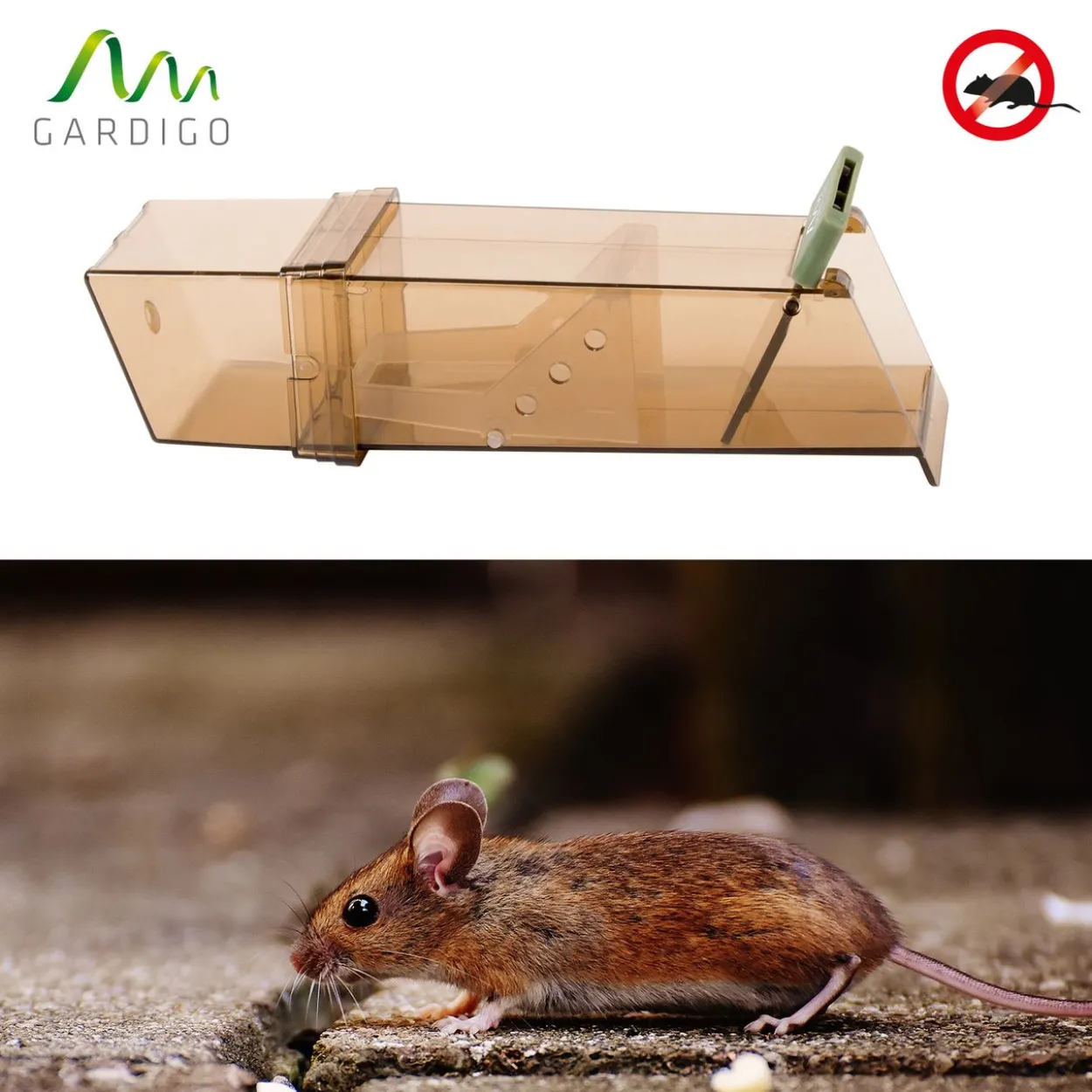 Maus-Lebend-Falle