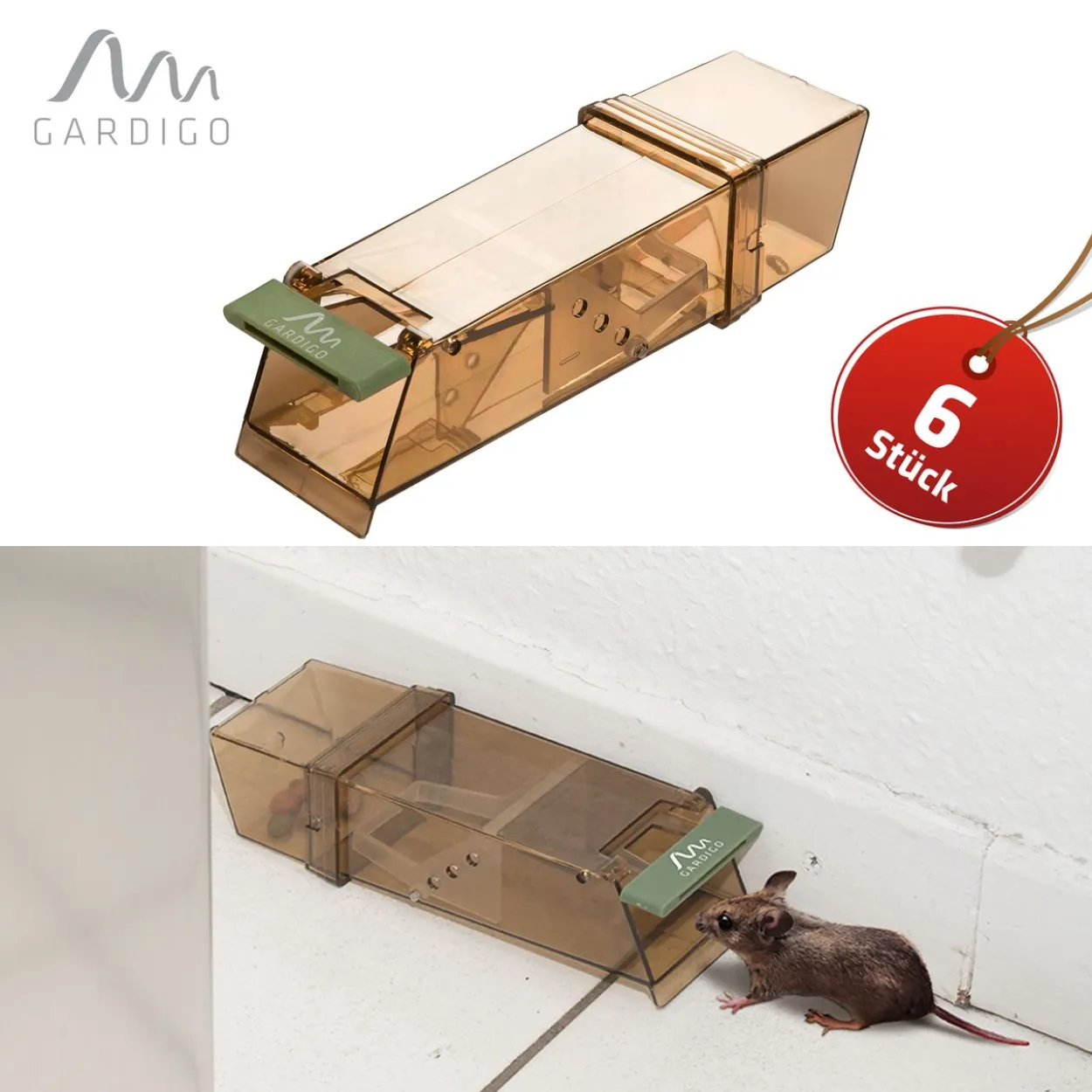 Maus-Lebend-Falle
