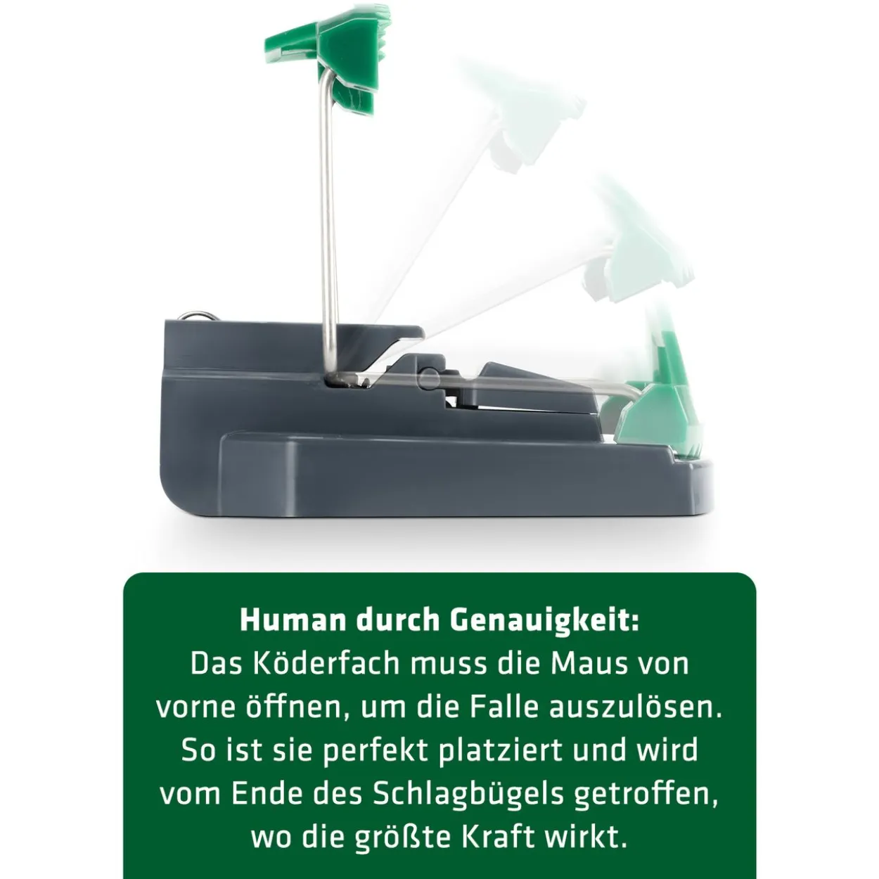Maus-Präzisions-Falle 2er Set