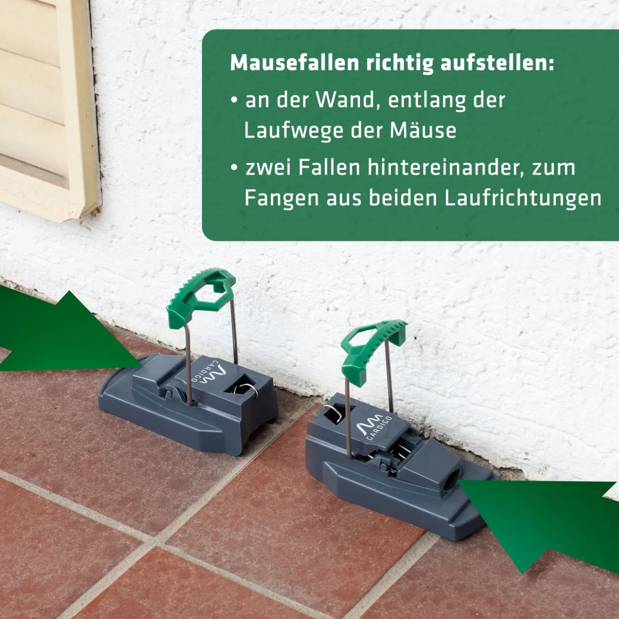 Maus-Präzisions-Falle 2er Set