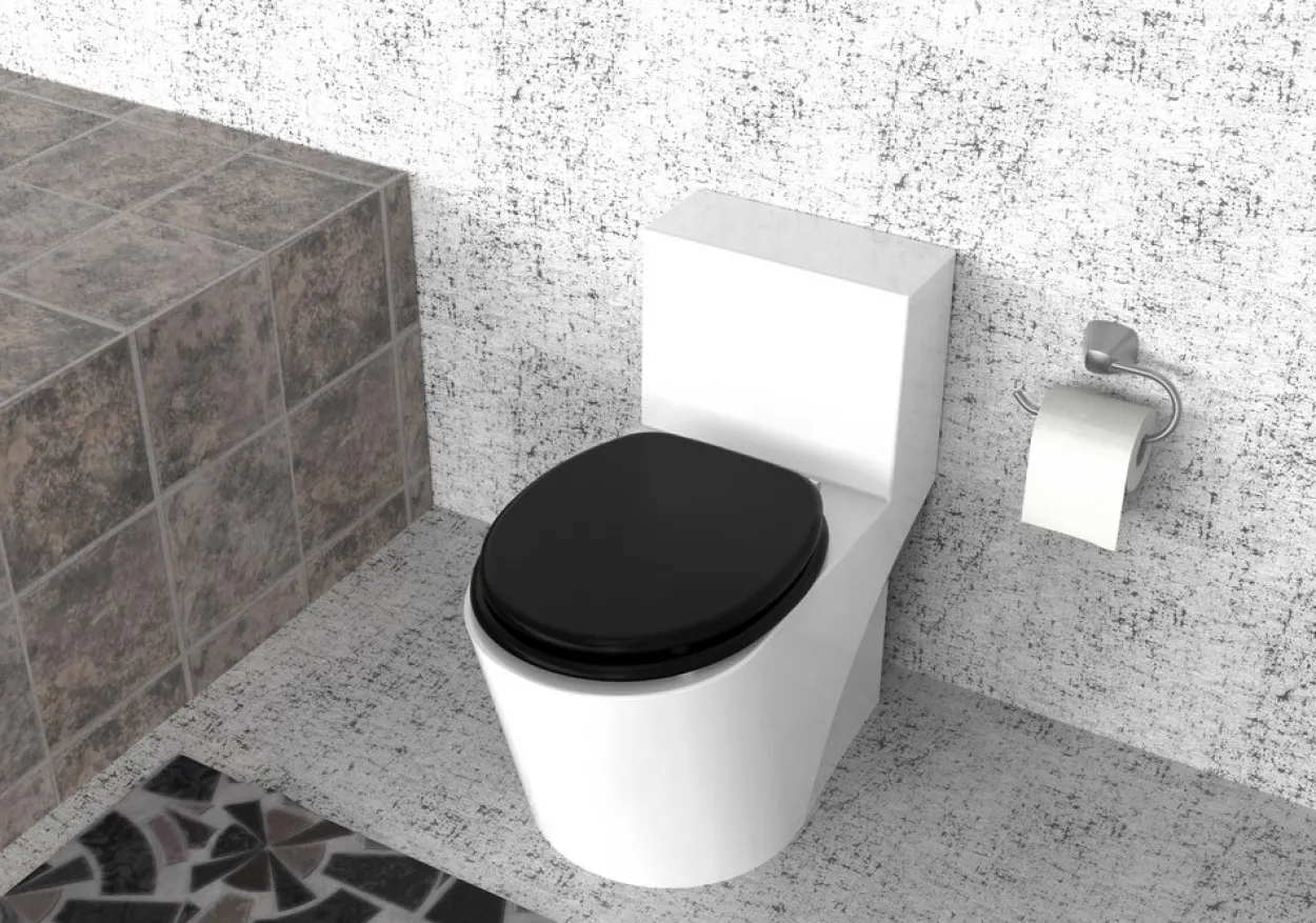 MDF WC-Sitz Casso schwarz
