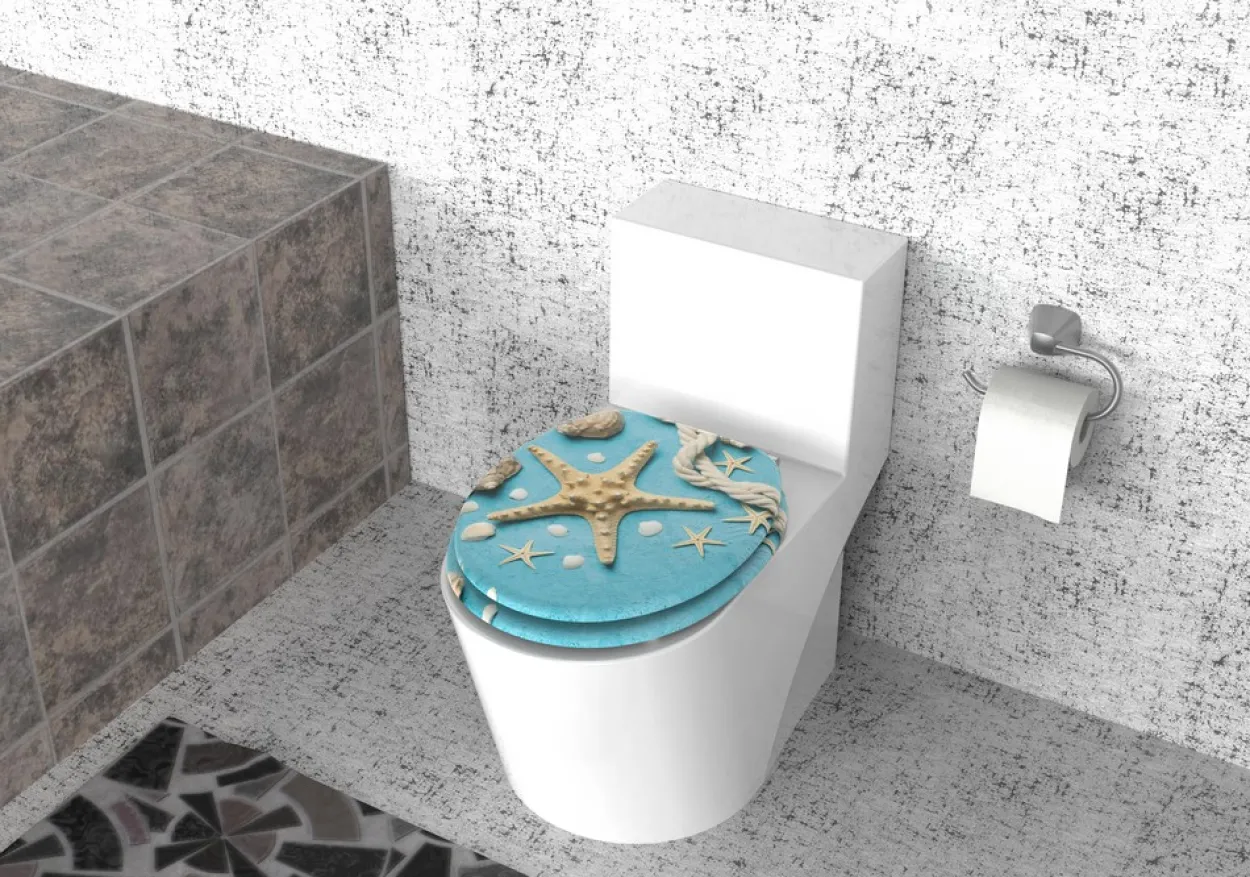 MDF WC-Sitz Soft Touch Muschel