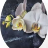 MDF WC-Sitz "Soft Touch" - Weiße Orchidee