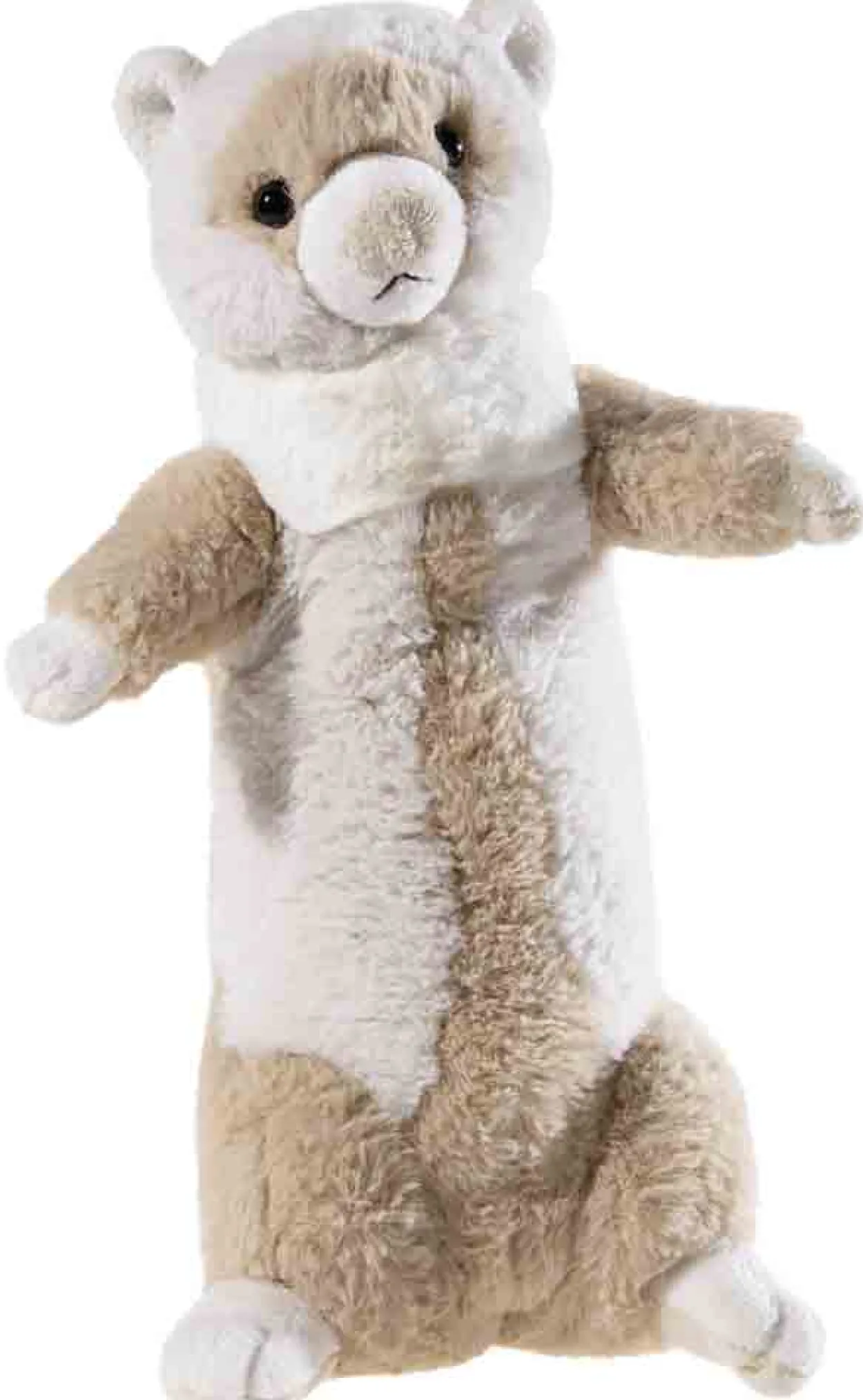 MR.SCHMUS - Frettchen mit Charme