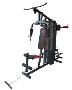 Multi-Gym Challenge
