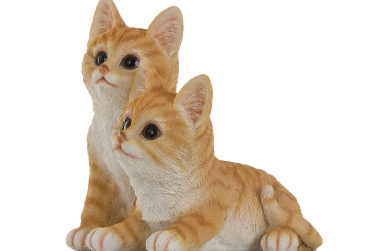 My Flair Katzenkinder, orange/weiß gestreift