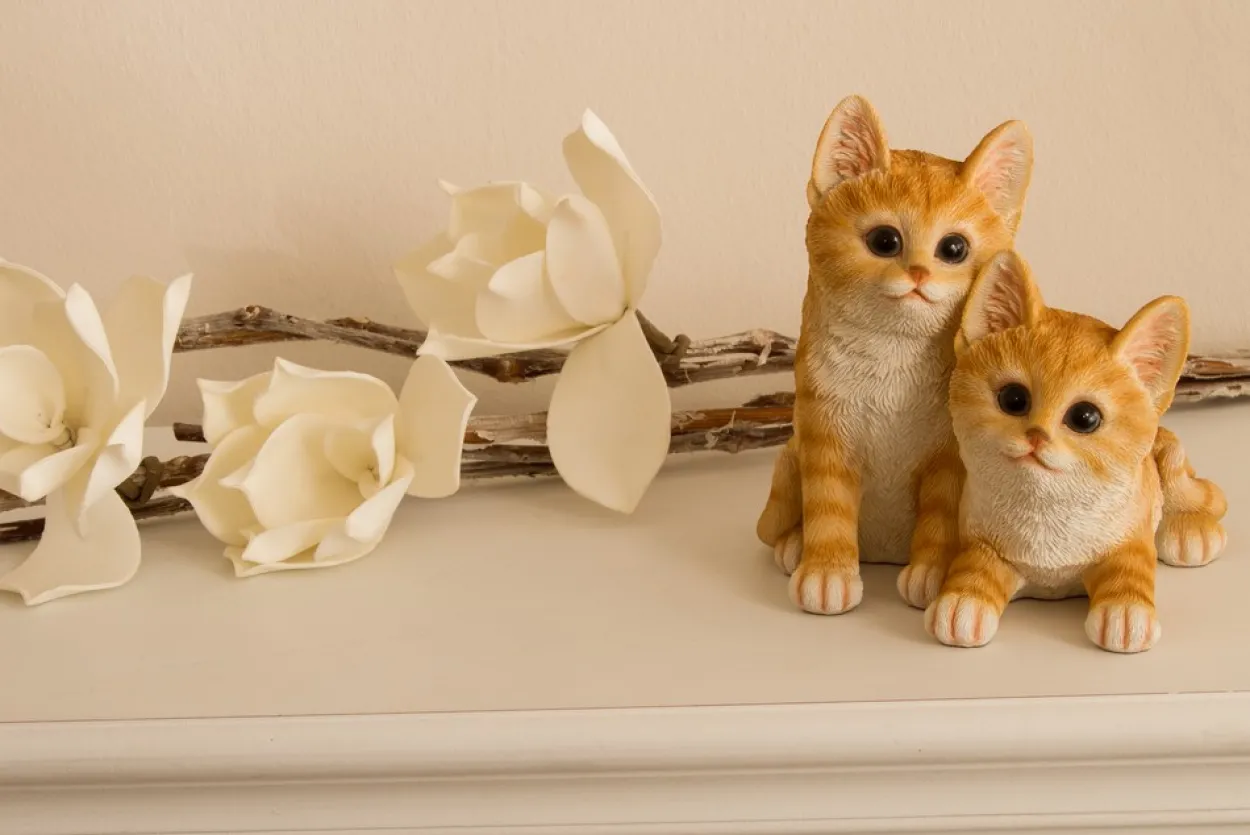 My Flair Katzenkinder, orange/weiß gestreift
