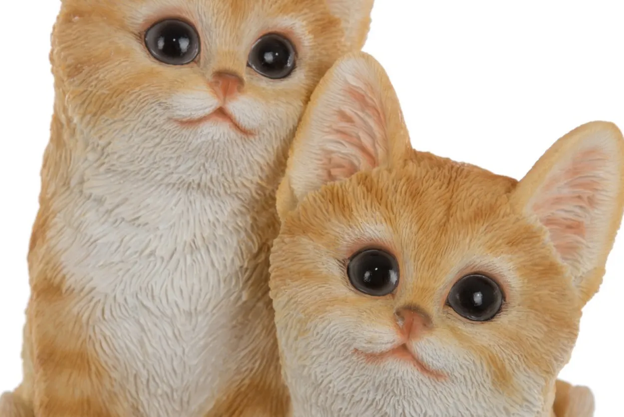 My Flair Katzenkinder, orange/weiß gestreift