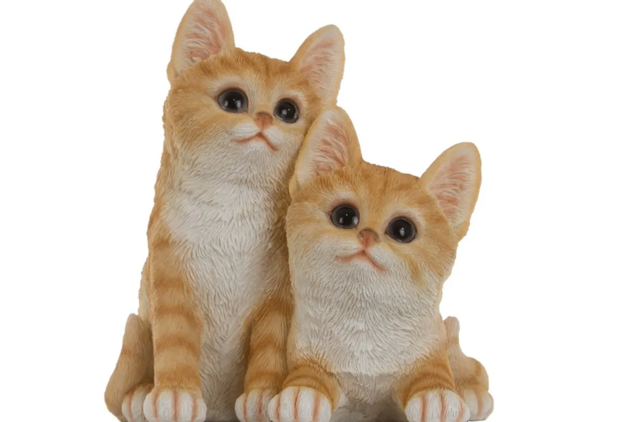 My Flair Katzenkinder, orange/weiß gestreift