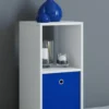 my home Regal "Benas-2"