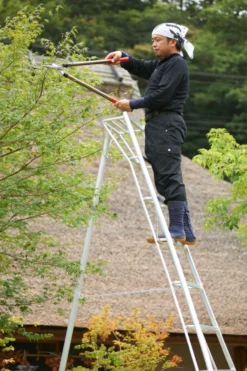 Niwaki Gartenleiter und 3-Holm-Leiter 300 cm