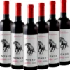 NOMAD Cabernet Sauvignon - 6er Karton