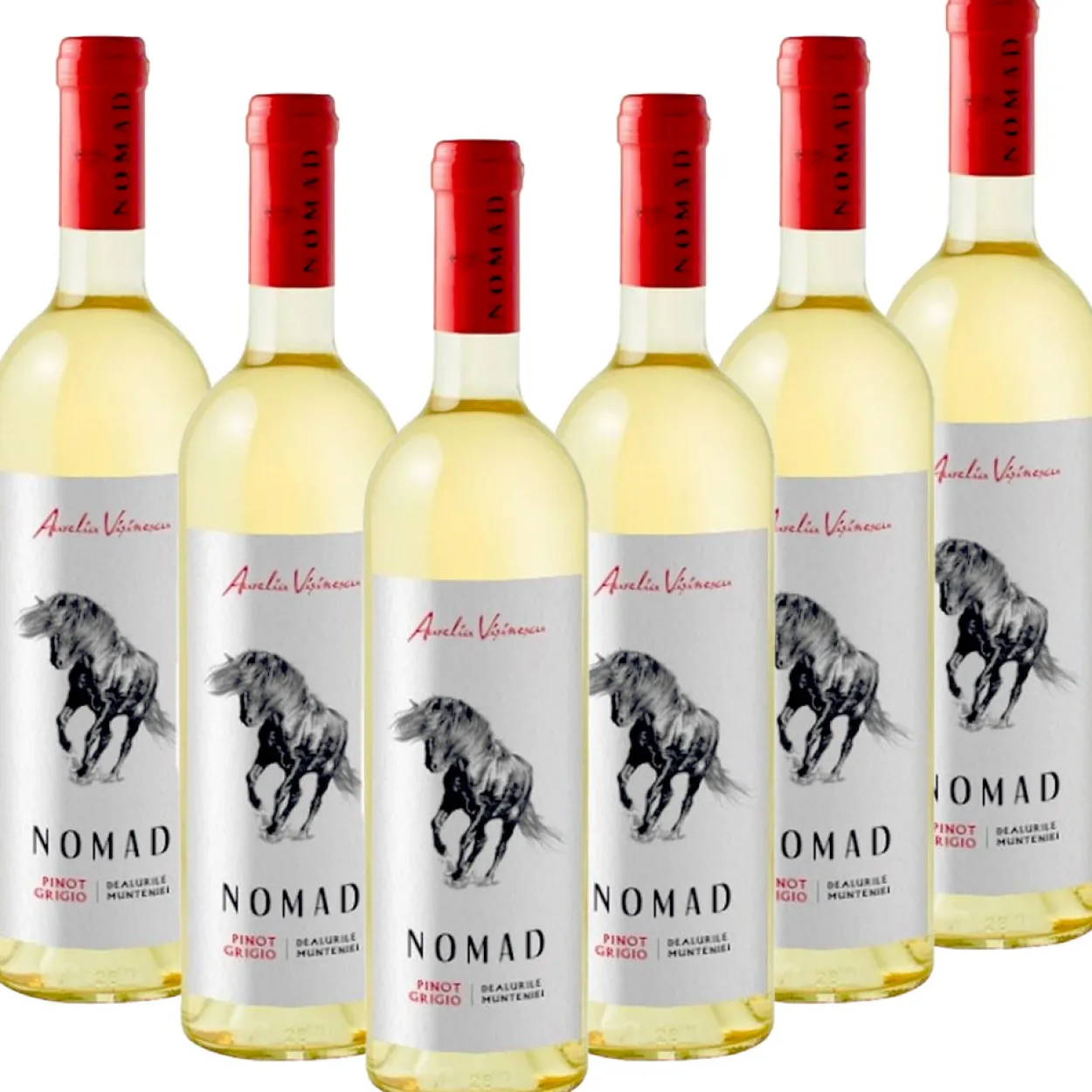 NOMAD Pinot Grigio - 6er Karton