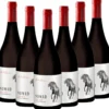 NOMAD Pinot Noir - 6er Karton