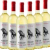 NOMAD Sauvignon Blanc - 6er Karton