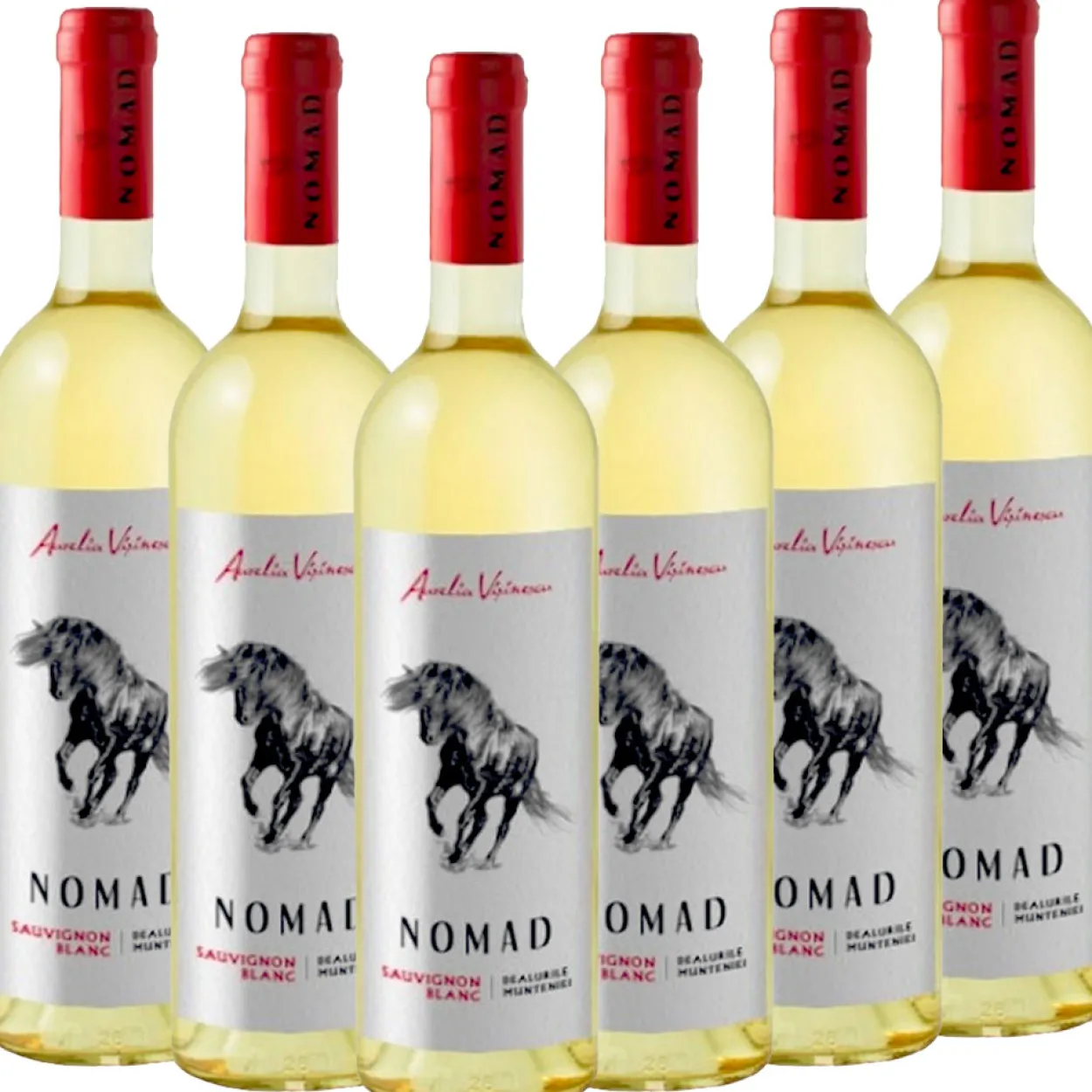NOMAD Sauvignon Blanc - 6er Karton