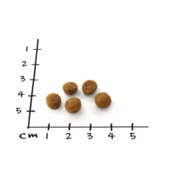 Nutriness Lachs 5 x 800g