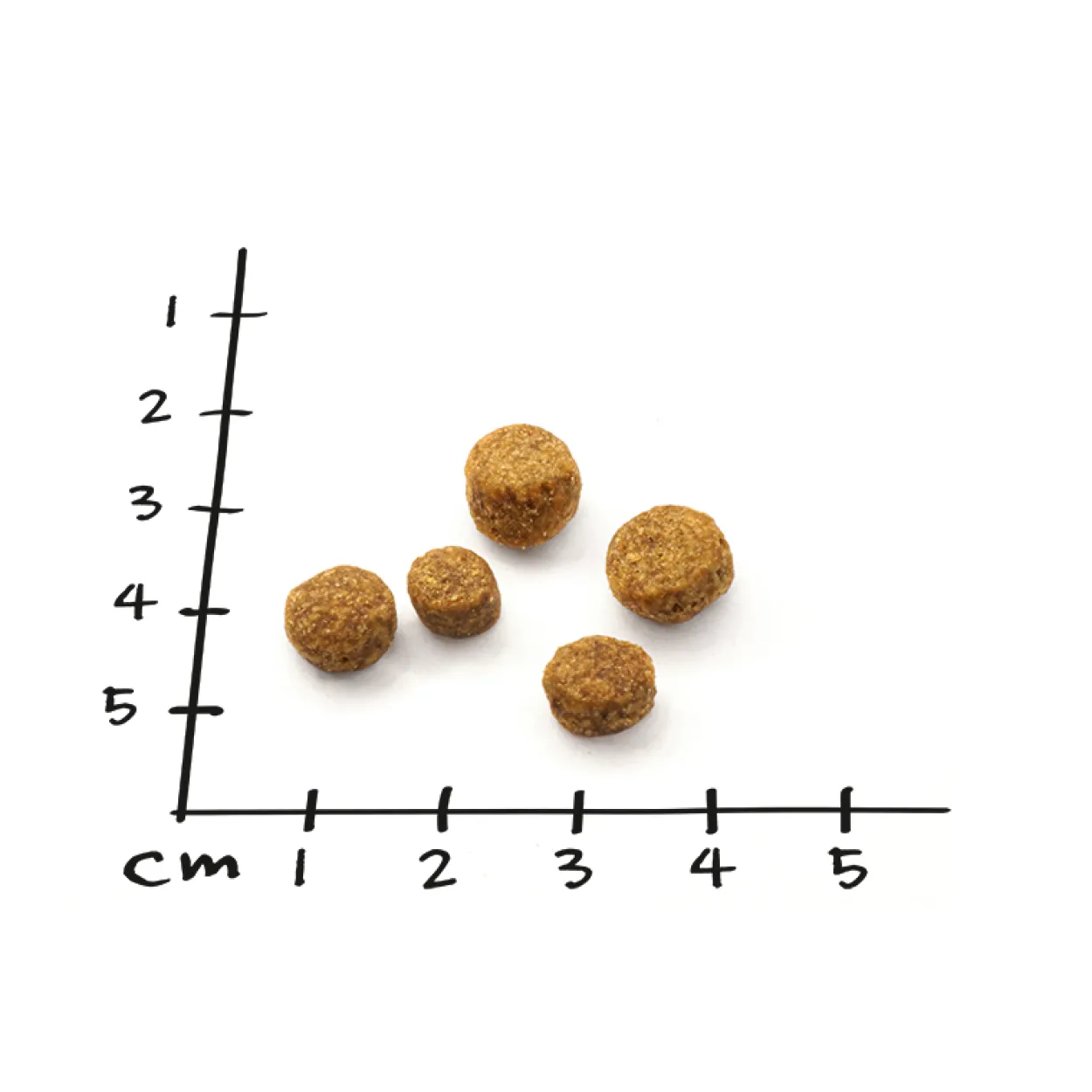 Nutriness Sterilized 5 x 800g