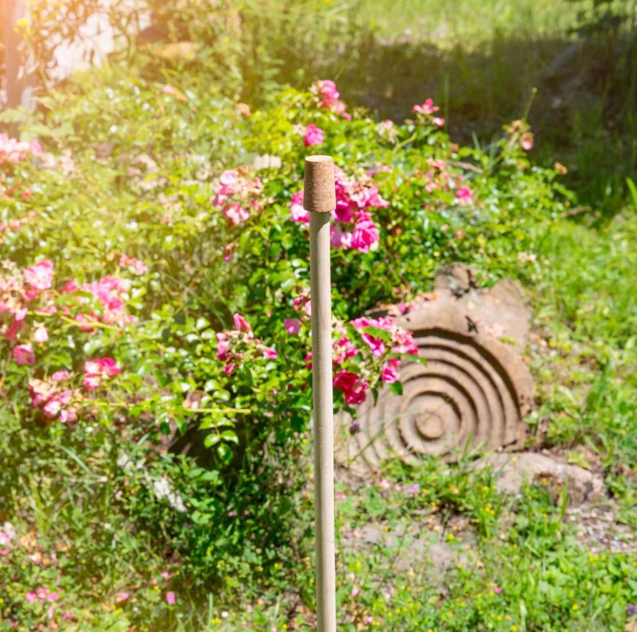 Online-Set Rosenkugelstab 100cm V1