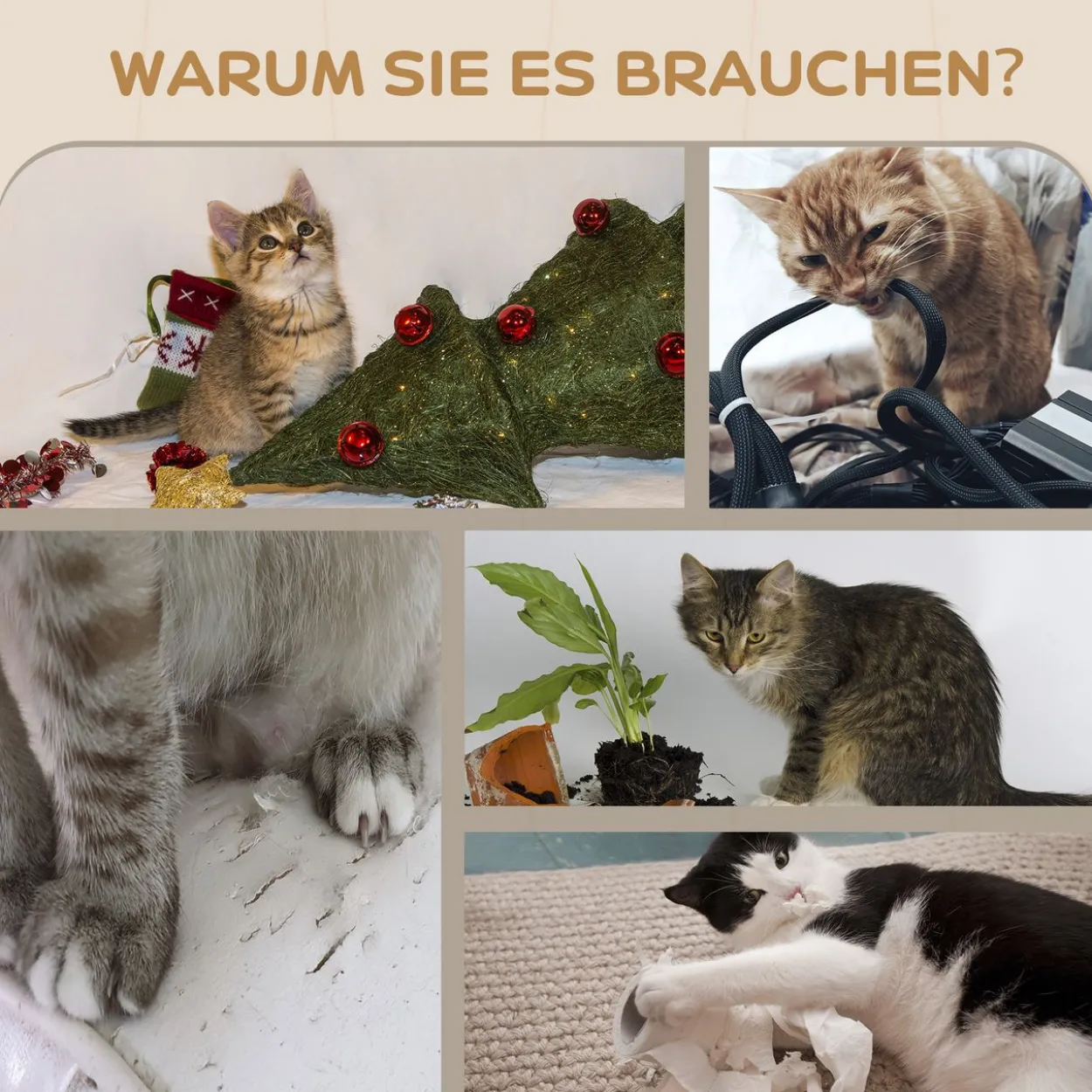 PawHut Katzen Kletterwand 4 tlg. mit Kaztentreppe Hängematte, Sprungplatt