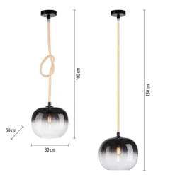 Pendelleuchte LUMA, 1x E27/40Watt max., 1x LED-Board/12,50Watt, Schwarz
