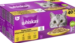 Portionsbeutel Multipack Mega Pack 1+ Geflügel Auswahl in Gelee 40 x 85g